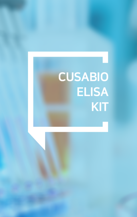 CUSABIO ELISA KIT
