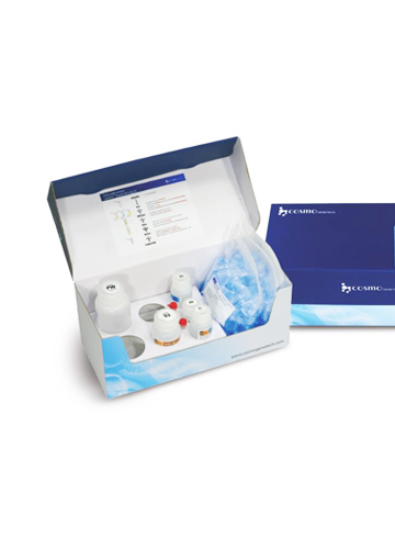 Plasmid DNA Purification Lit Mini