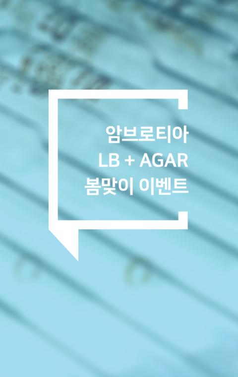 암브로티아 LB + Agar 이벤트